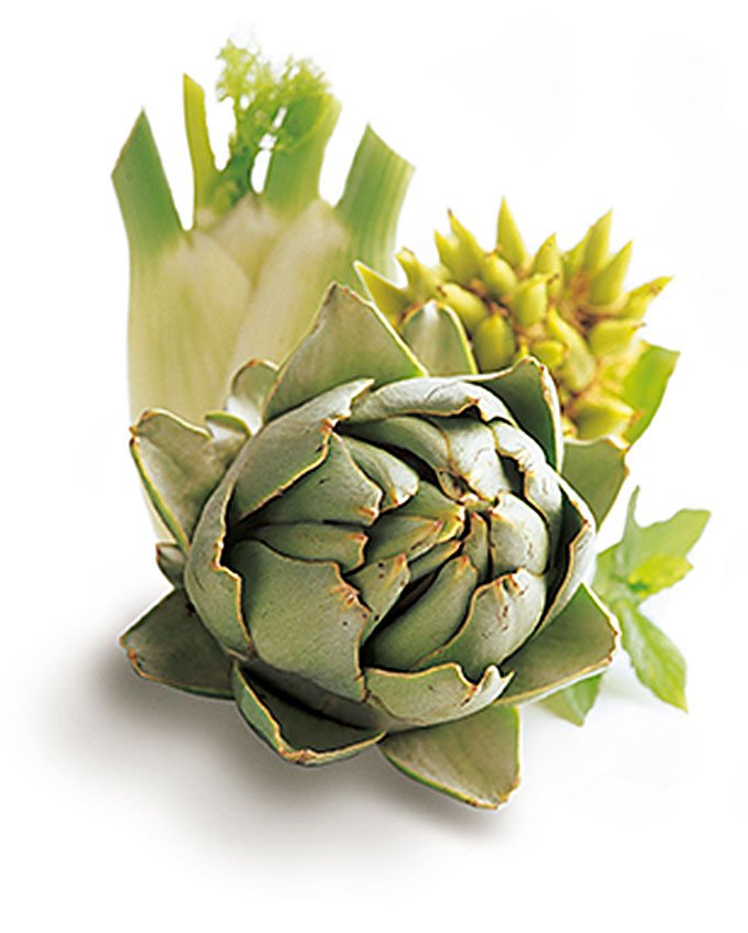 Artichoke