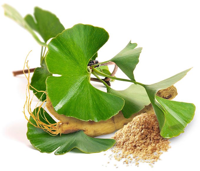 Ginseng-ginkgo