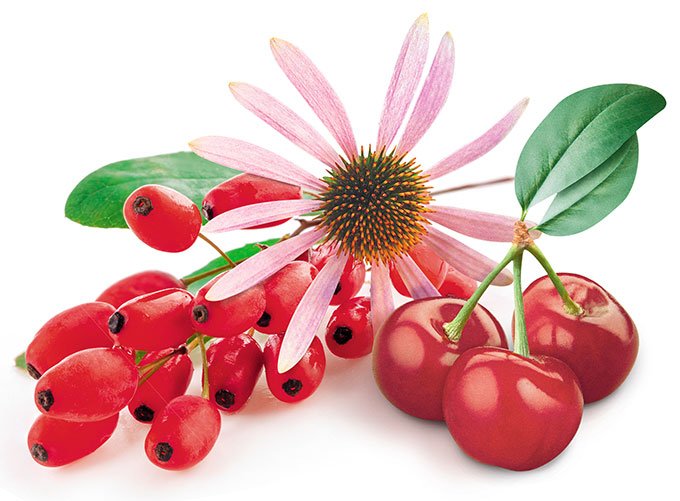 Goji & Acerola & Echinacea